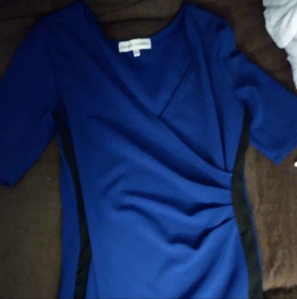 Blue and Black Fitted Dress